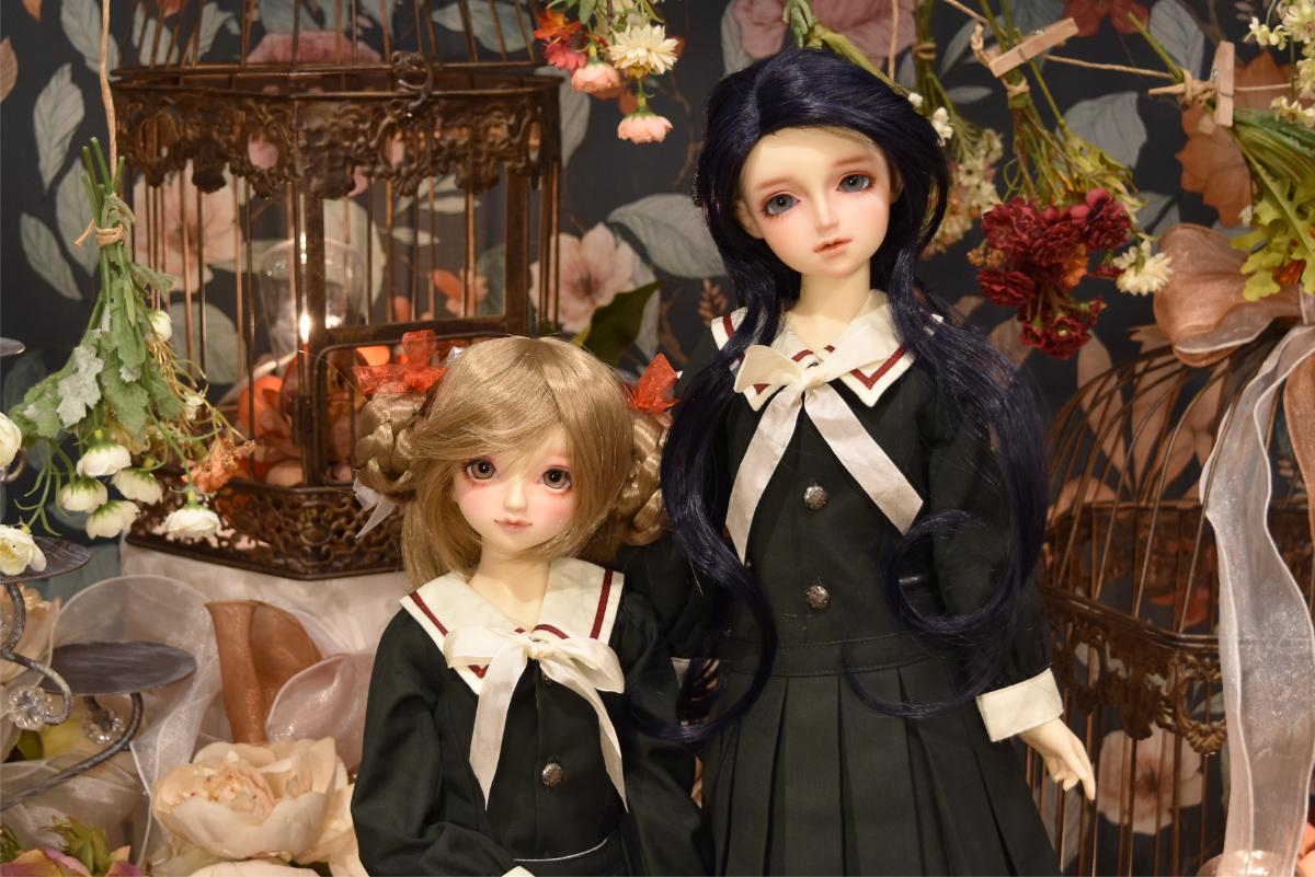 2026年5月15日(金）SDアダプションモデルお披露目♪