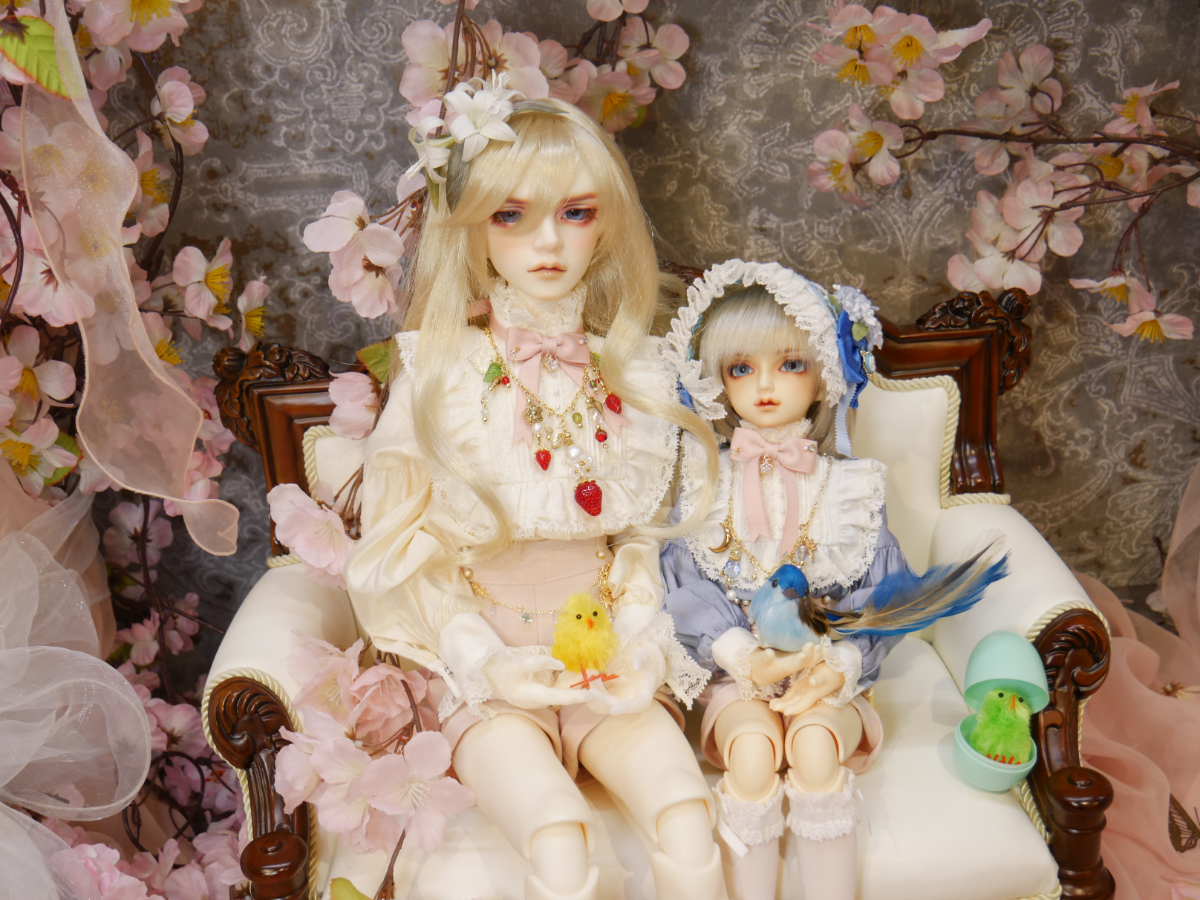 「春のドレスで撮影♪ すみか便りデビュー！」ご参加ドルフィーのご紹介です♪その5（2026.03.28）