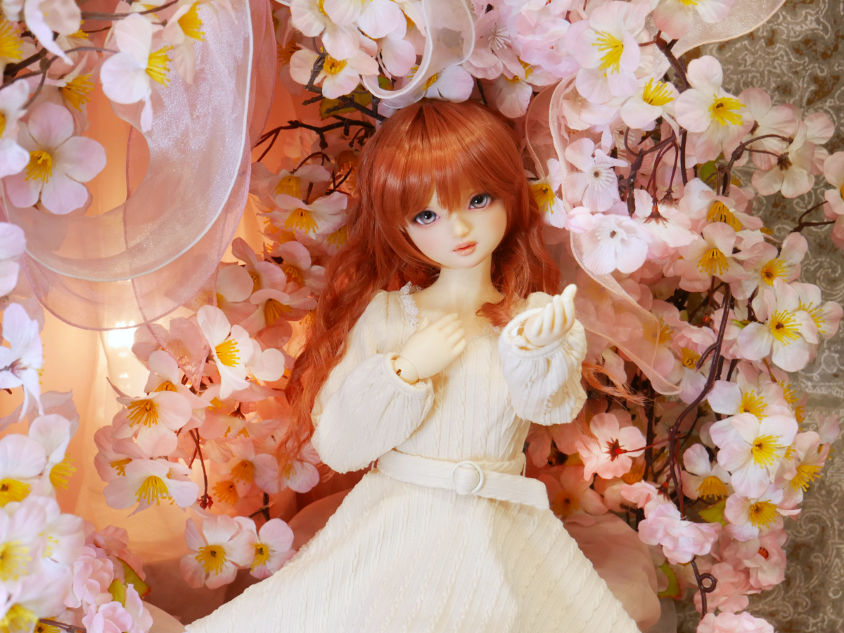 SDスタンダードモデル「SDマキ」をご紹介♪(2026.03.05)