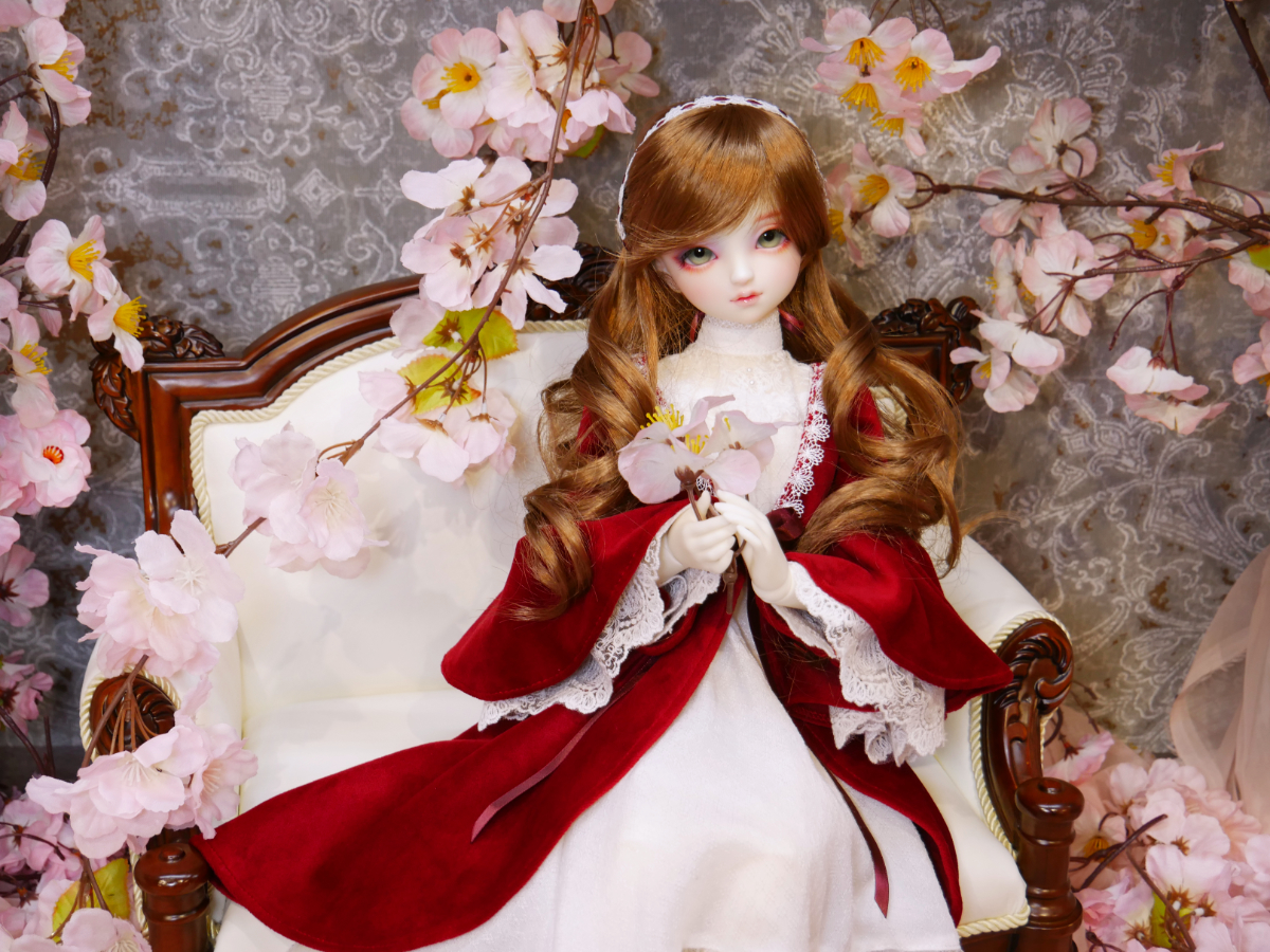 天使の窓 2026年 春の期間限定ヘッド SD-F-98のご紹介♪