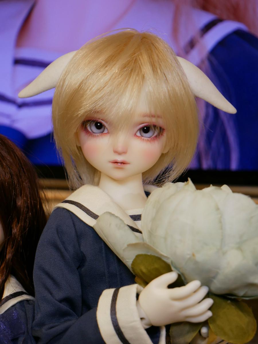 202608157.jpg