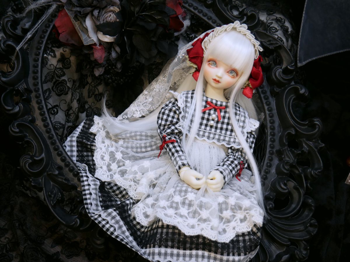 「Halloweenのドレスで撮影♪ すみか便りデビュー」ご参加ドルフィーのご紹介です♪その8（2026.10.22）
