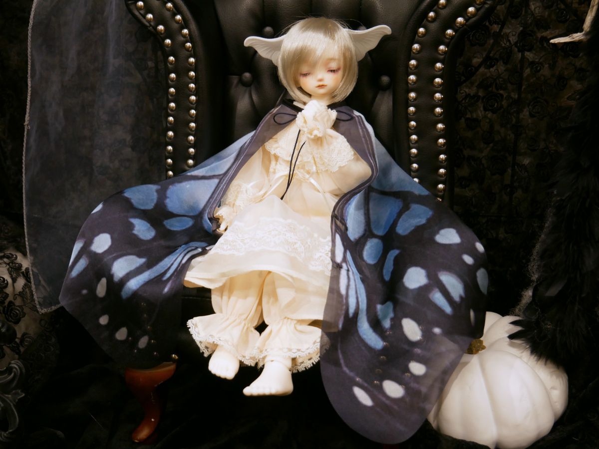「Halloweenのドレスで撮影♪ すみか便りデビュー」ご参加ドルフィーのご紹介です♪その7（2026.10.21）