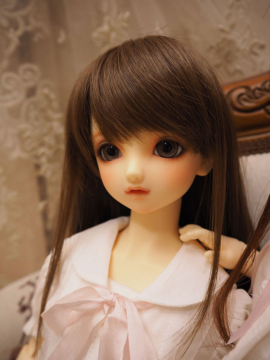 SDスタンダードモデル各種お迎え準備整っております。 | 天使の窓 