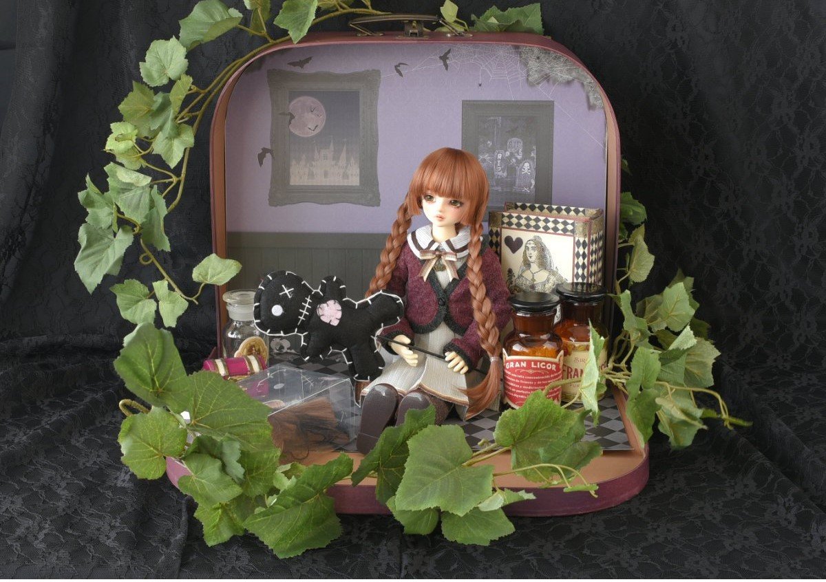 ドルフィー Halloween Present Box」が登場です♪ | 天使の窓