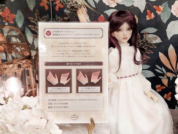 DD アルクェイド・ブリュンスタッド」&「真祖の姫」セット 店頭