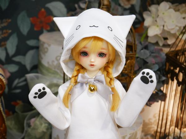 お披露目中】D`COORDのご紹介です♪（優し気なDDH-07、キュート