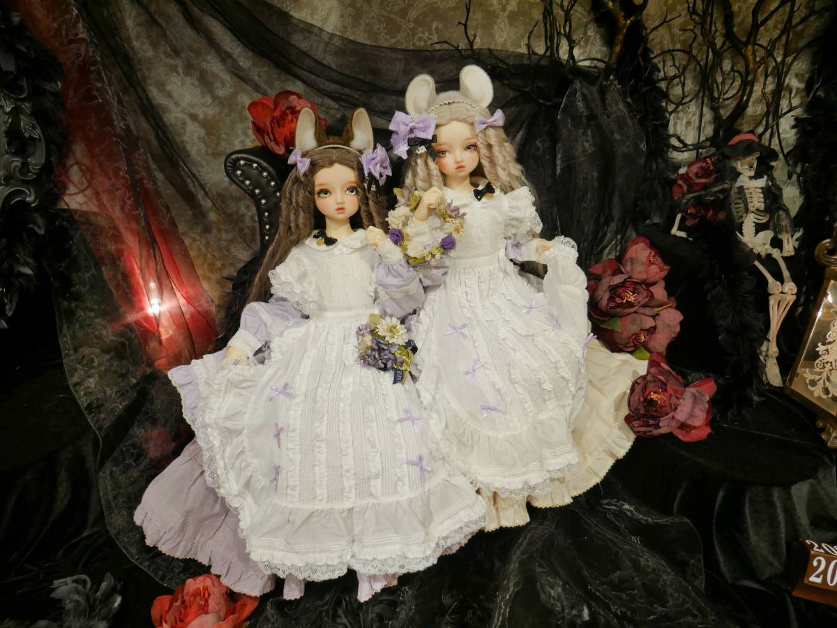 Halloweenのドレスで撮影♪ すみか便りデビュー」ご参加ドルフィーのご