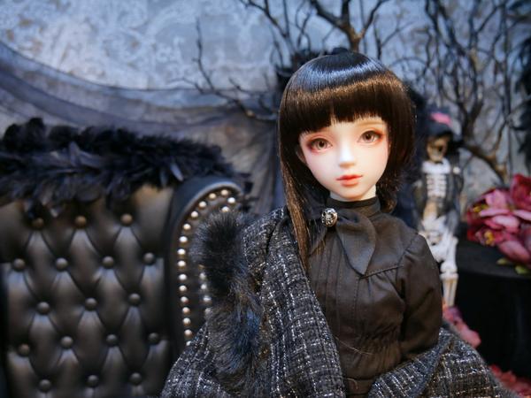 DDスタンダードモデル「DD 未来」「DD キャンディ」のご紹介