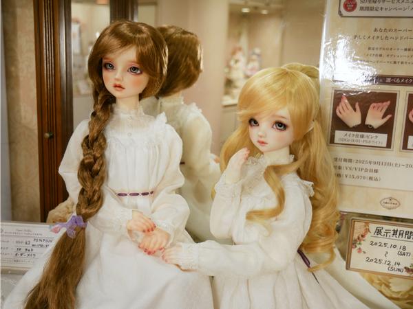 DDSセーラーマーキュリーのご紹介♪ | ドールポイント大阪 店舗