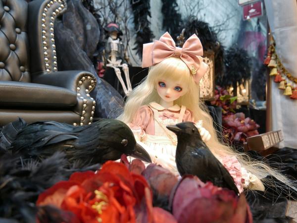 ブライス アイチップ オーダーリスト『 Halloween† 』【期間限定