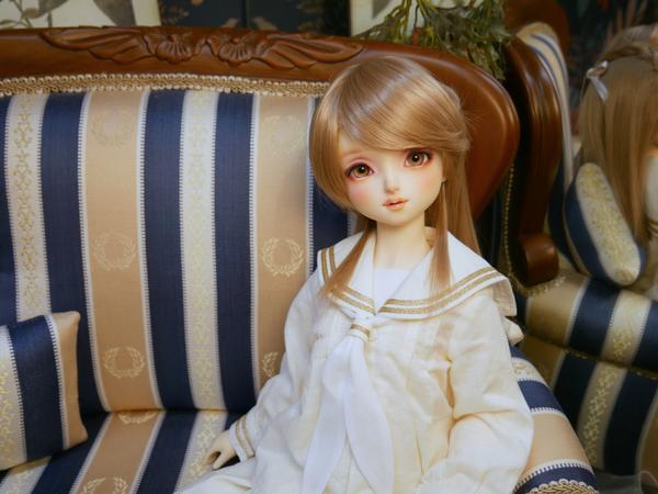 DD書籍「Let's ドルフィードリーム」♪大好評発売中です！ | 天使の