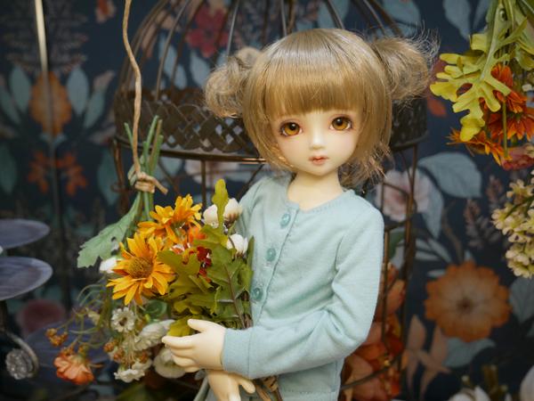 お披露目中】D'COORDのご紹介です♪（ミステリアスなDDH-31 快活なDDH