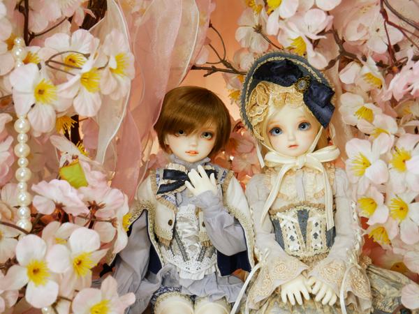 3月新作ドレス】展示スタート！「ふんわりねこちゃんセット」のご紹介