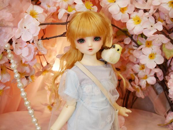 DC-H-26編】ドリームチョイスアップデート！新作メイクのご紹介♪その3