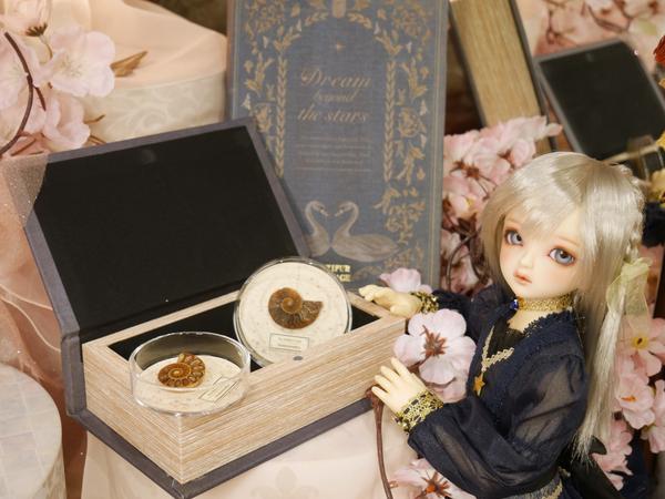 DD 桜ミク 2.0」『「お花見コーデ」セット』ご注文受付は5月25日（日