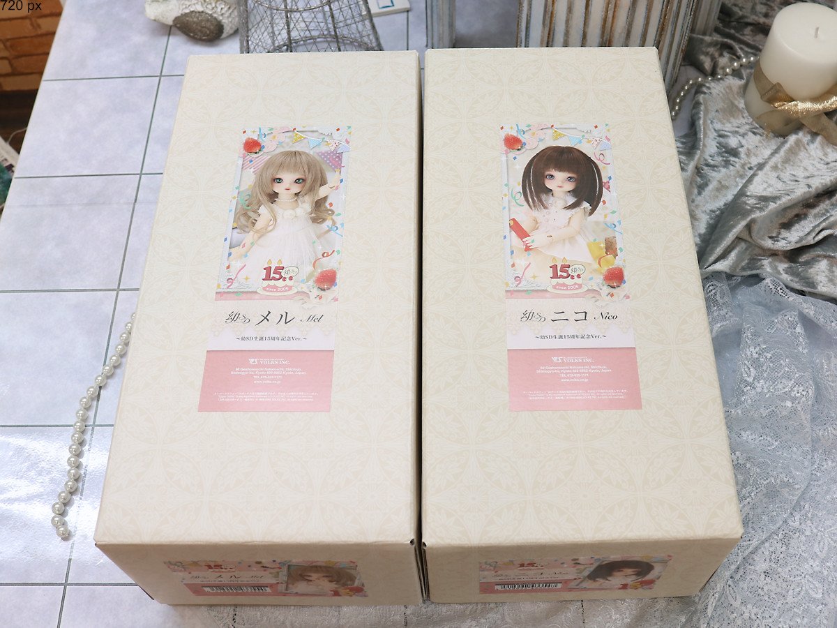 名古屋でお迎えいただけます 幼sd女の子 ニコ メル のご紹介 天使のすみか 名古屋店 株式会社ボークス
