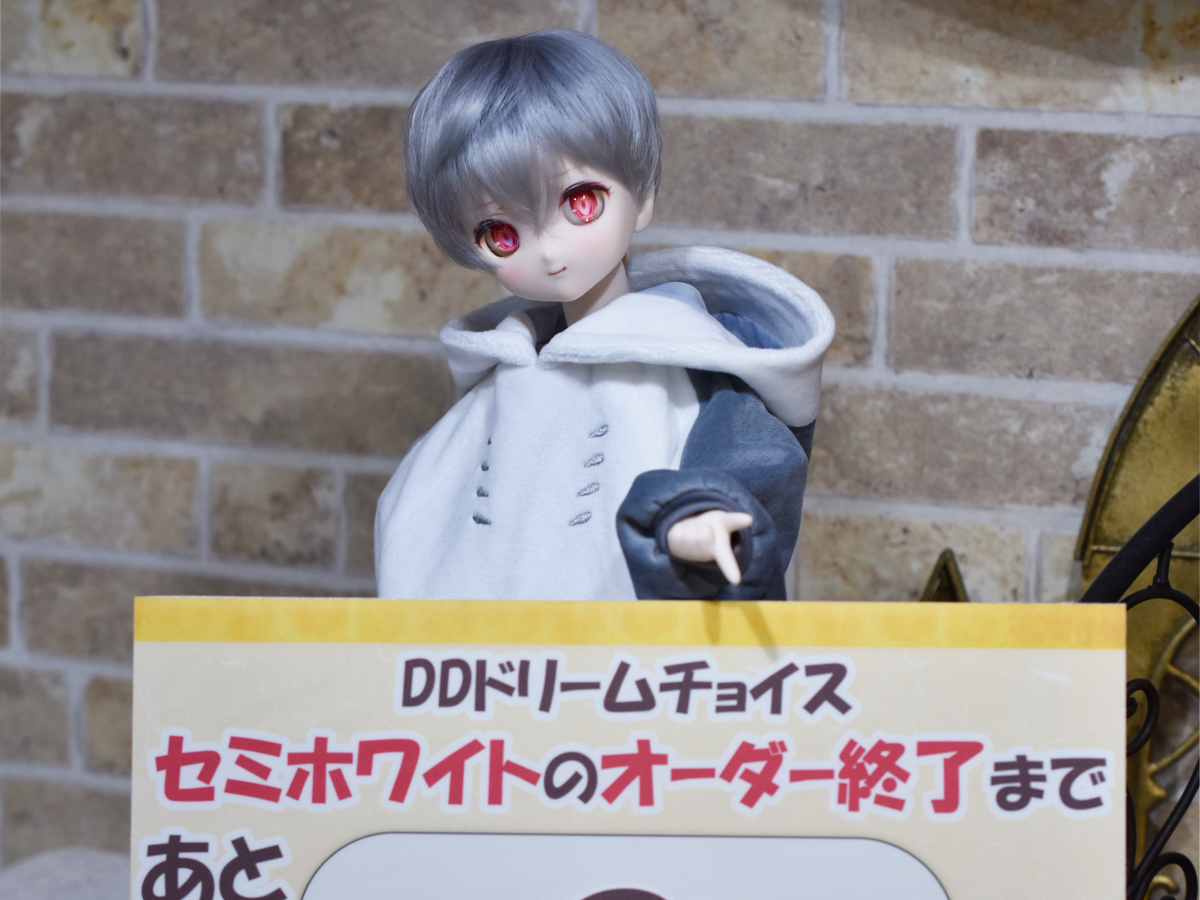 DDドリームチョイス「セミホワイト」がオーダーできるのは3月31日（火）まで！