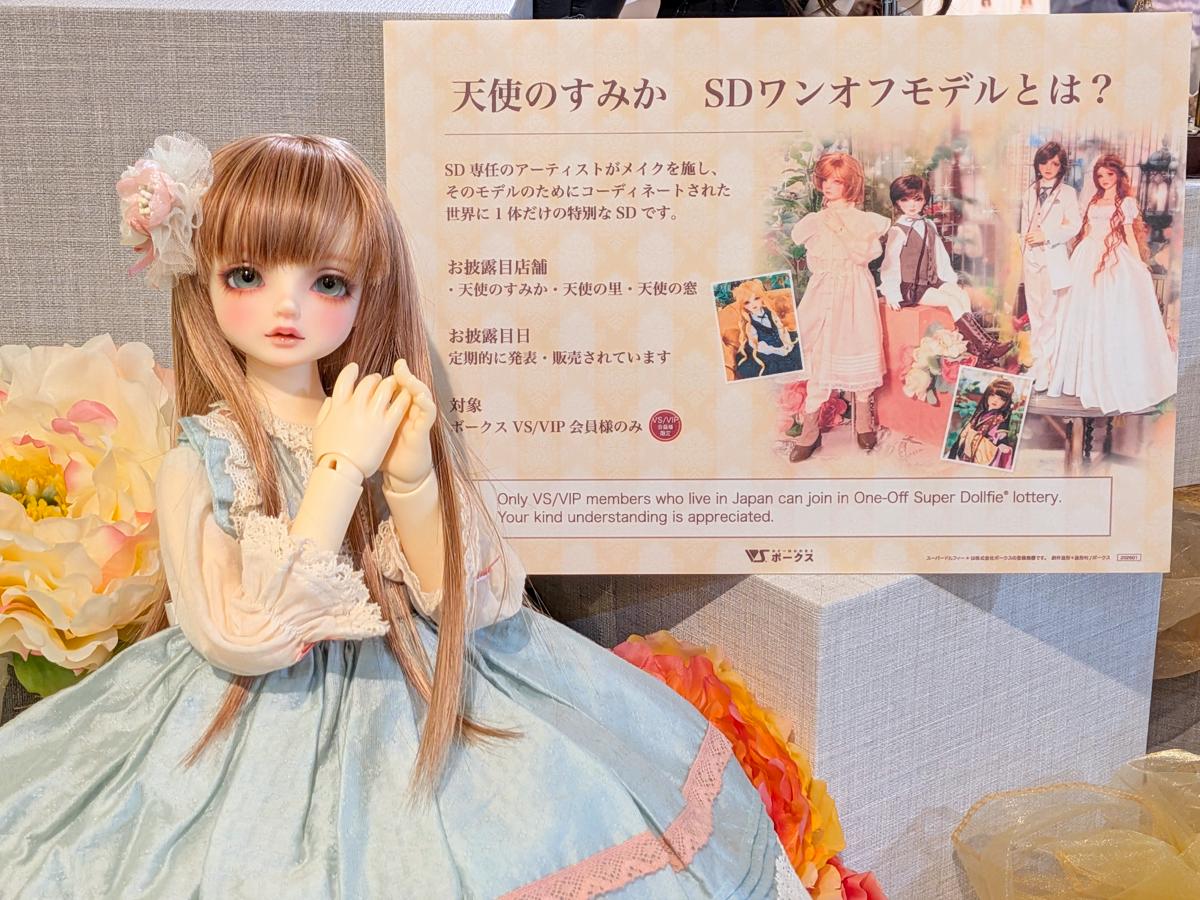 「SDワンオフモデルお披露目」今週末8月16日（日）開催いたします♪