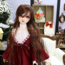 SDに触ってみませんか？SDの抱っこ体験ご希望の方はスタッフまで！