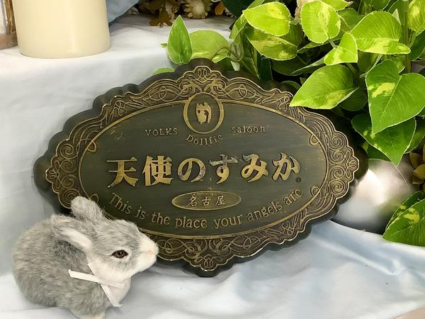 ボークス イノセントホワイト・トレーンドレス 新作ドレスのご紹介＜イノセントホワイト・チュールドレス