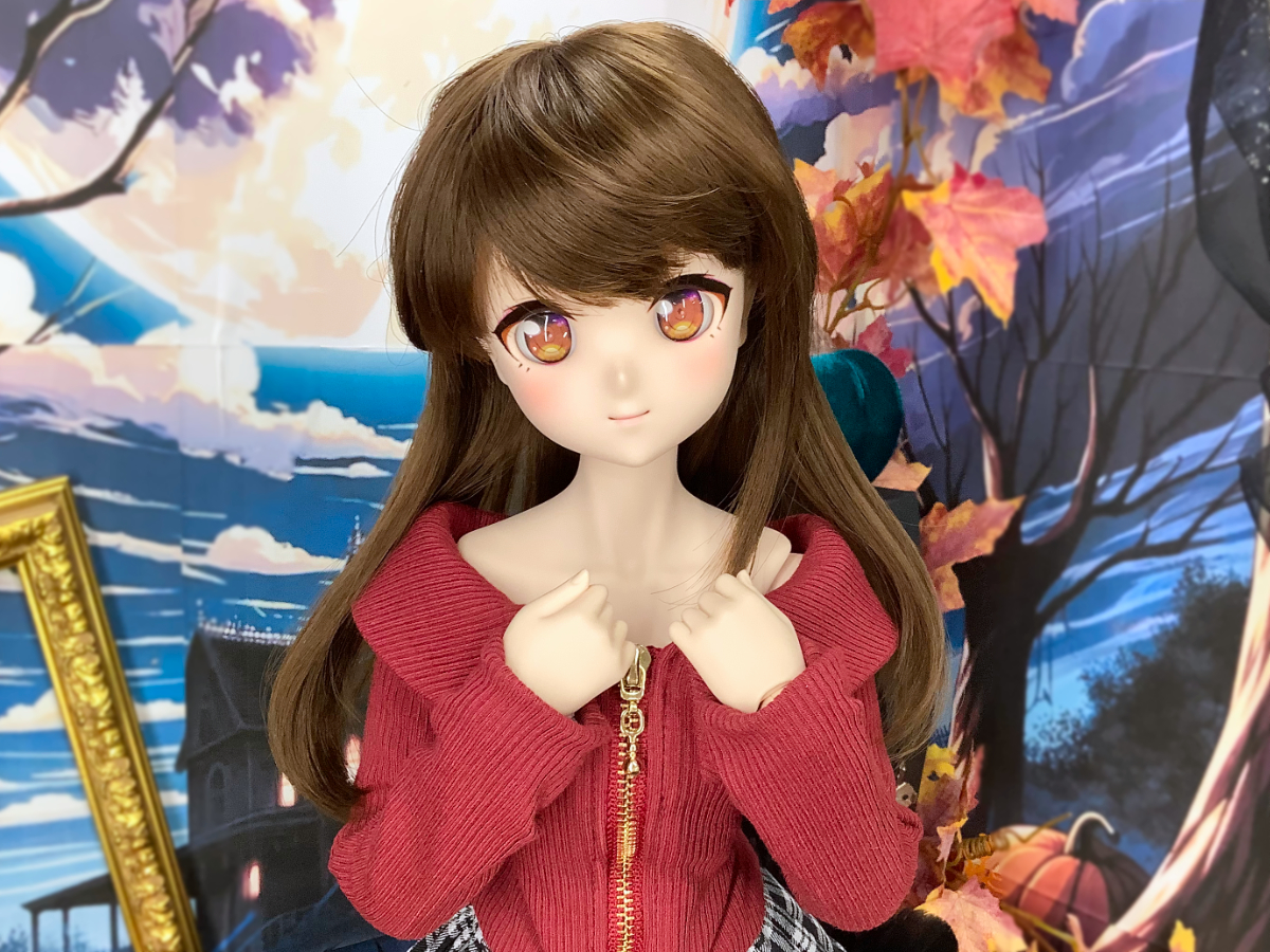 DDスタンダードモデル】 ひまりのご紹介です♪ | ドールポイント