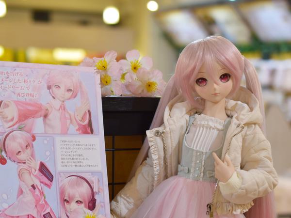 DDスタンダードモデル】DD キャンディ・DD 未来のご紹介です