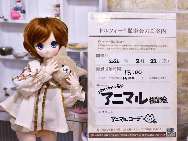 フルチョイスのご参考に！SD・SD13女の子の比較です♪ | ドール
