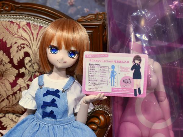 クリスマスにオススメ！ぽんぽんパニエコーデのご紹介♪ | ドール