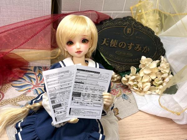 DDドリームチョイスのご案内♪「フレッシュ」肌編！ | ドールポイント