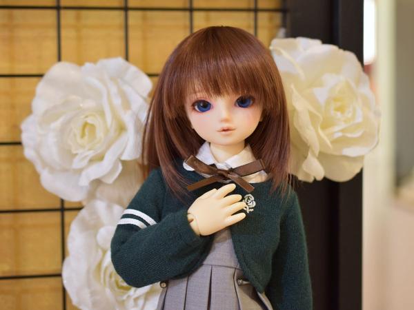 DDスタンダードモデル「コロン」のご紹介♪ | ドールポイント大阪 店舗