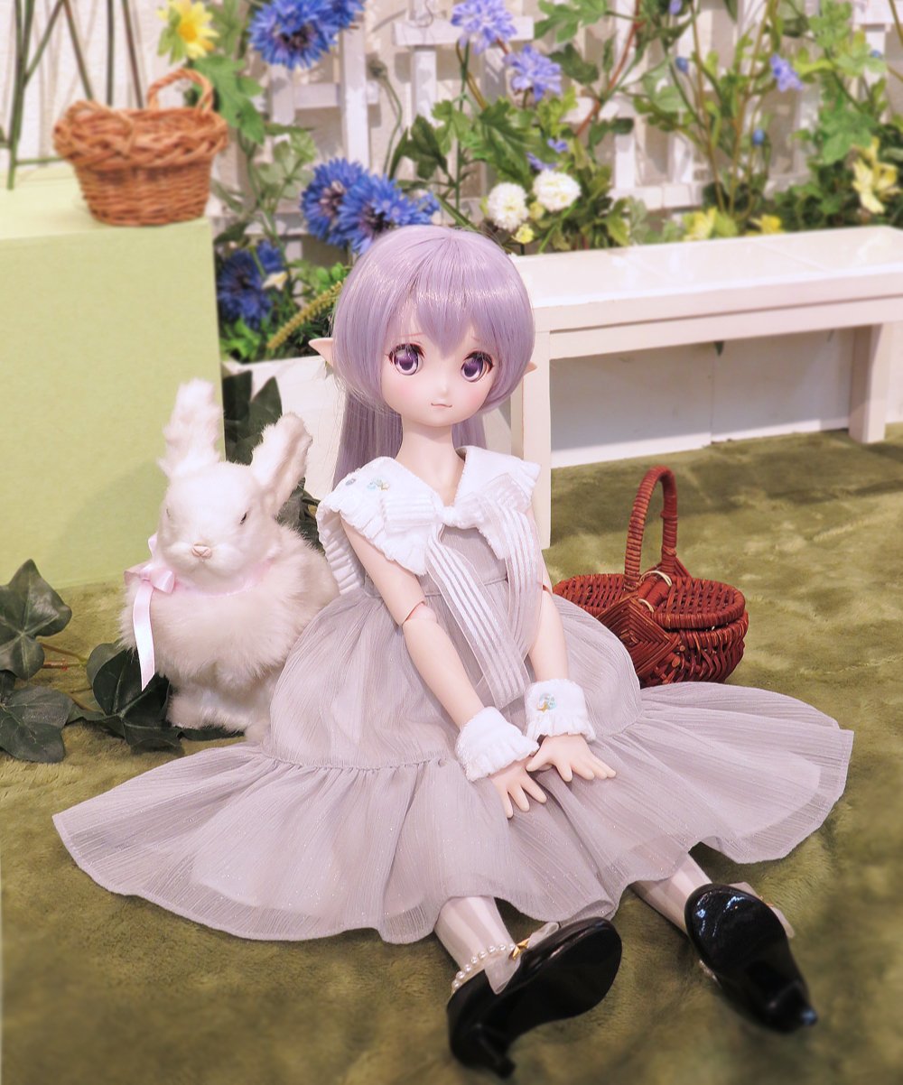 DDドリームチョイスでお迎えできます♪DC-H-21のご紹介 - ドール