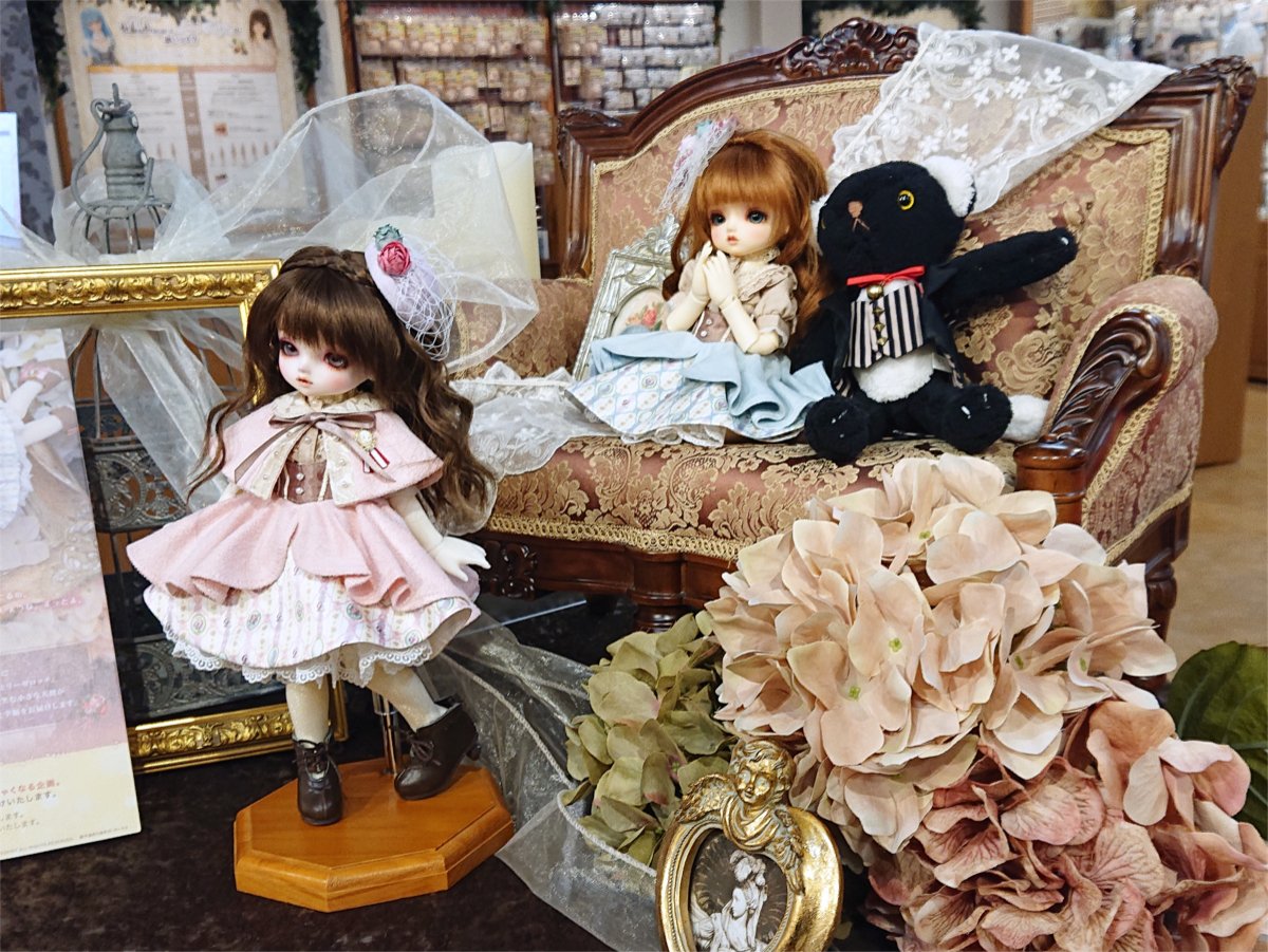 ドールズ パーティー - ドールポイント大阪 | 株式会社ボークス