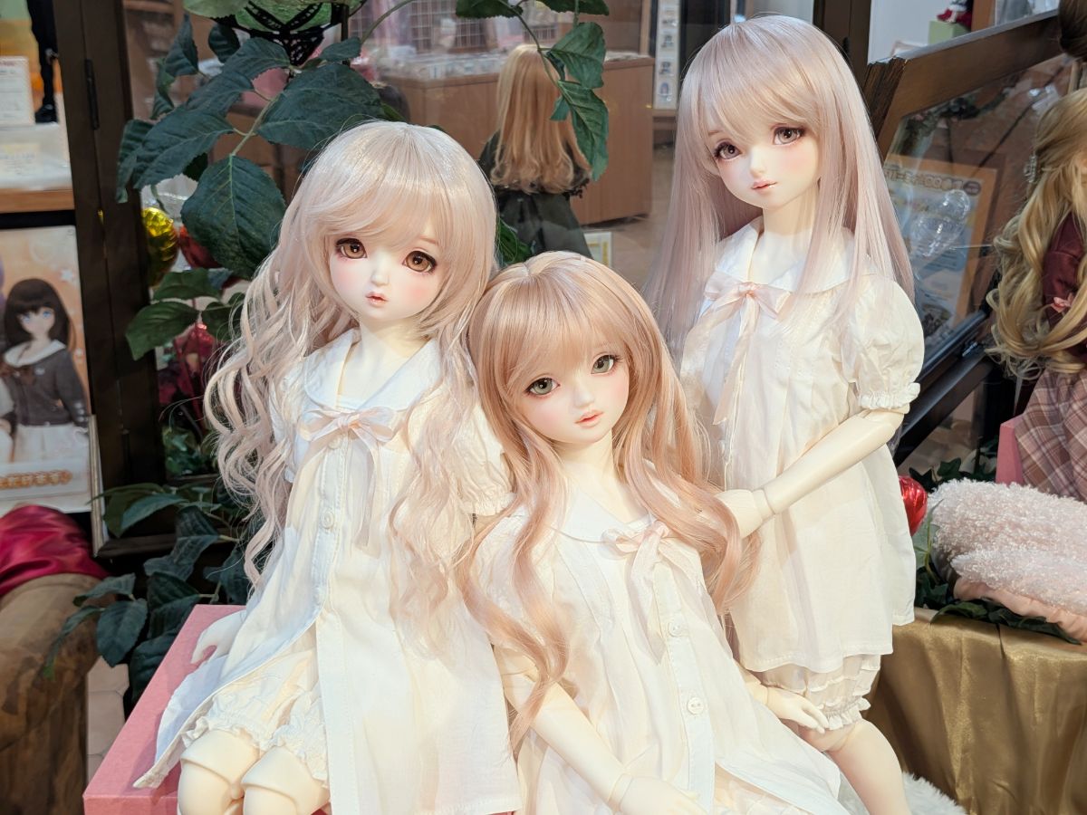 話題沸騰中のスタンダードシリーズ 特別モデル☆　　　　　　　　　　　　　　　　　　　　　　　　　　　　　　　　本日より絶賛展示中です！