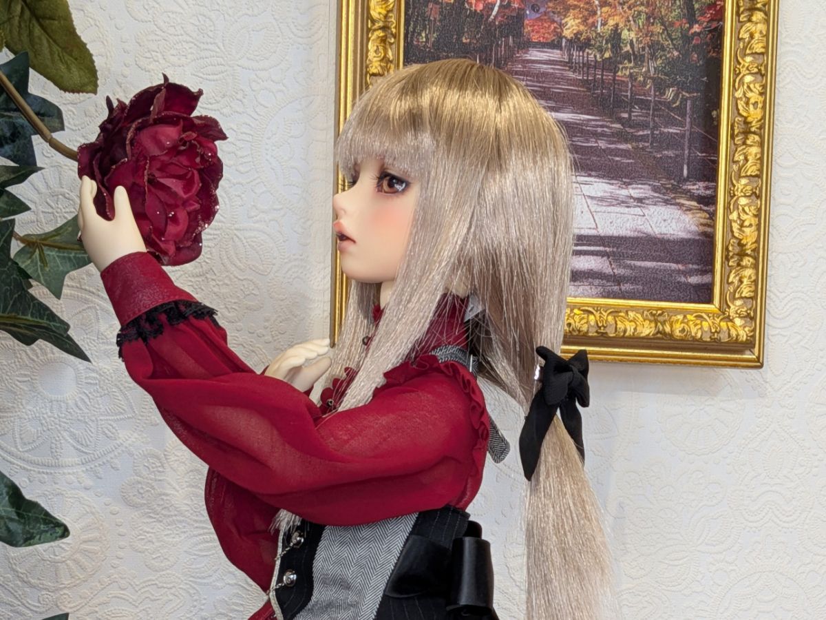 【2026年9月新作ドレス発表会】「SD ミスティックルビーローズ」のご紹介です♪