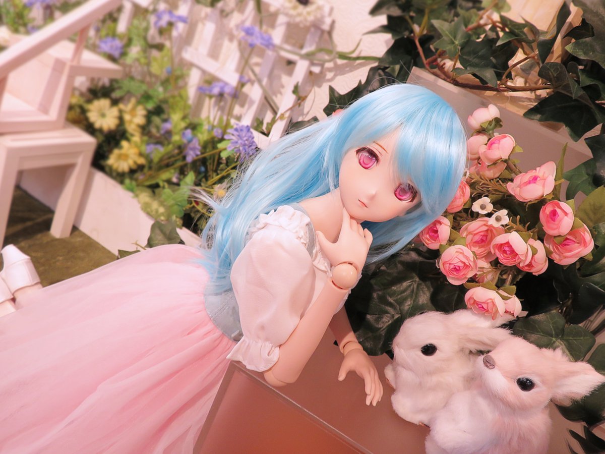 DDスタンダードモデルのご紹介♪ | ドールポイント大阪 店舗ブログ