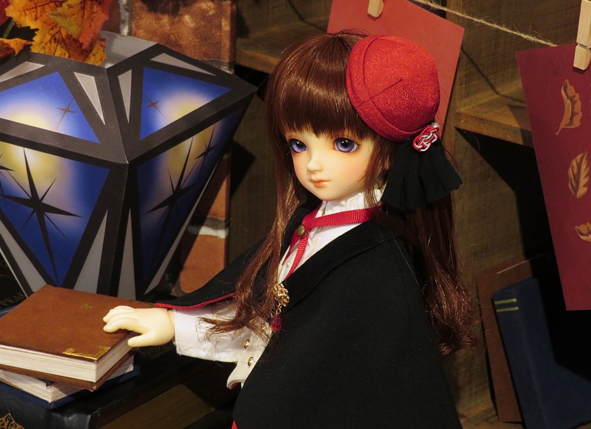 SDM/スタンダードひな Y-24-10-09-234-TN-ZY（スタンダード
