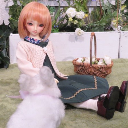 撮影スペース情報