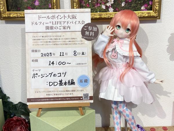 11月8日（土）開催！】「ドルフィー®☆LIFEアドバイス会 inドール