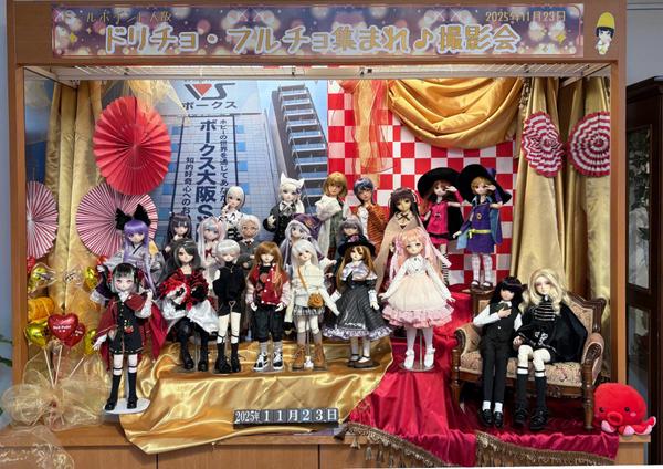 DDスタンダードモデル「DD 未来」「DD キャンディ」のご紹介