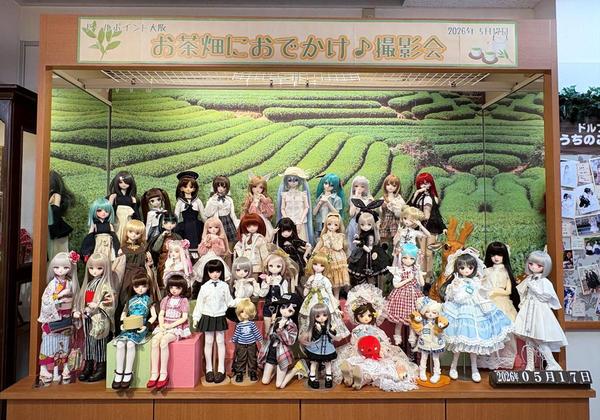 DDSセーラーヴィーナス&港区立芝公園中学校制服セットのご紹介