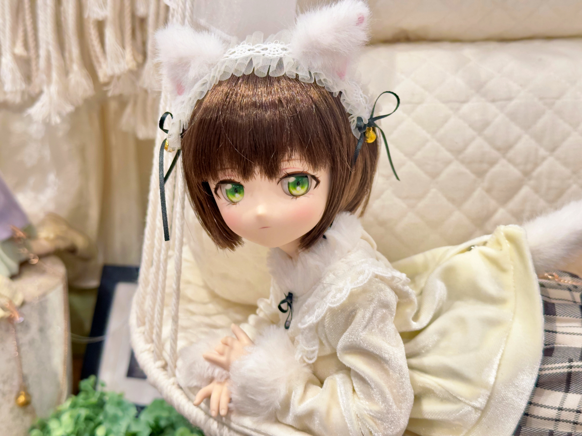ふんわり可愛いねこちゃんドレスのご紹介！