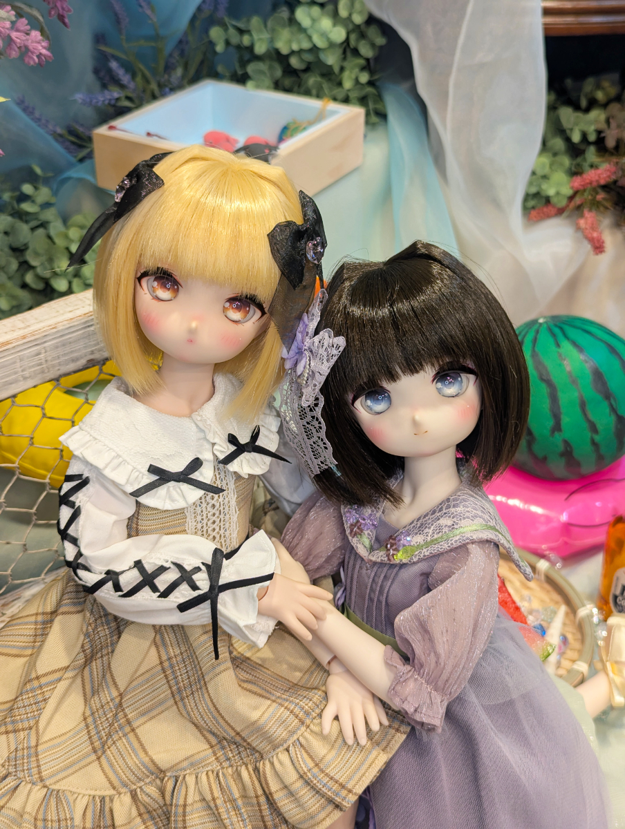可愛い２人をお迎えしませんか？MDDスタンダードモデルのご紹介♪