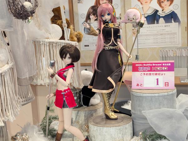 ゆめかわいいドレスのご紹介☆ | 天使のすみか・札幌店 店舗ブログ