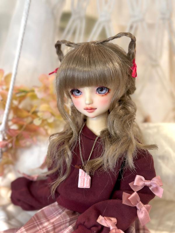 SDフルチョイスシステム」にてお迎え頂けるSDGr男の子についてご紹介