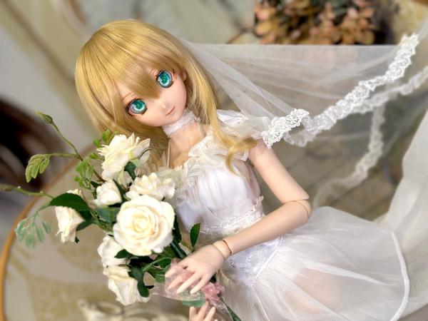 日本縦断！ドリームチョイス de D`COORD」展示開始しました！ | 天使の
