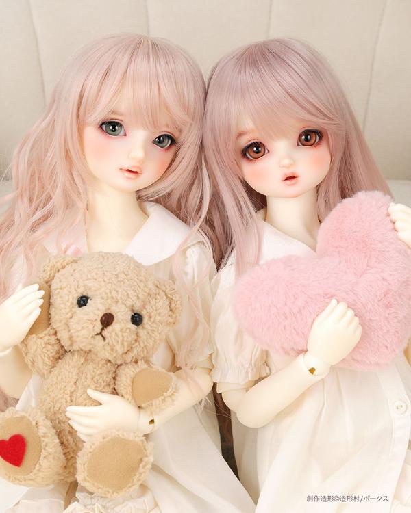 ご予約受付中！】DDドリームチョイス「セミホワイト」のオーダーが