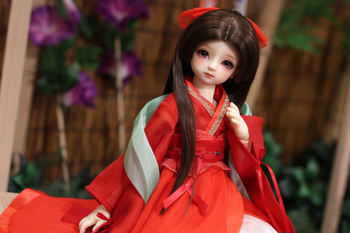 新作ドルフィーの販売方法 | ホームタウンドルパ京都19