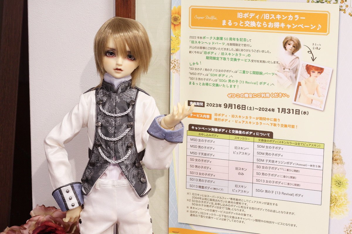 SDボディサイズと種類 | ボークス公式 ドルフィー総合サイト