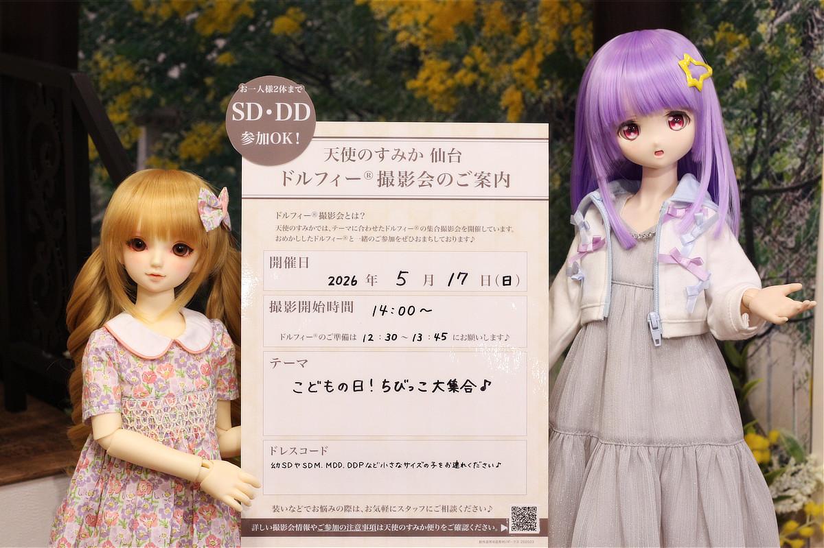 「ドルフィー☆LIFEアドバイス会」レポート＆5月撮影会のご案内♪